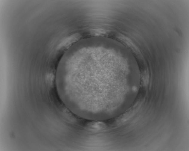 X0000114160427200910151611