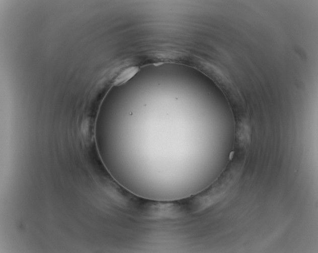 X0000114160428200910151611