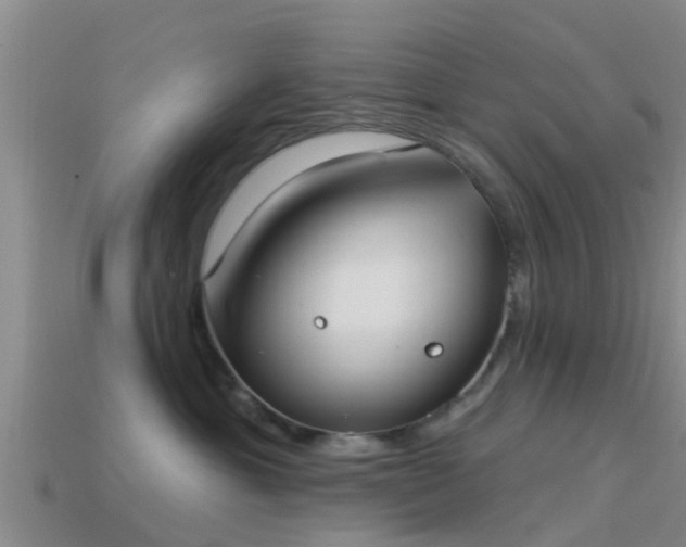 X0000114160429200910151611