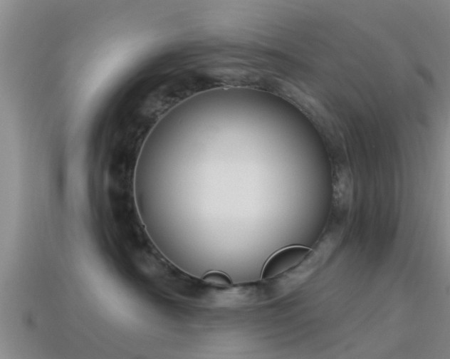 X0000114160430200910151611