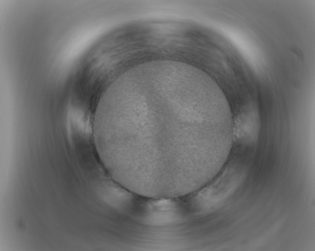 X0000114160431200910151611