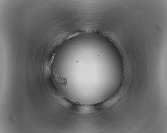 X0000114160432200910151611