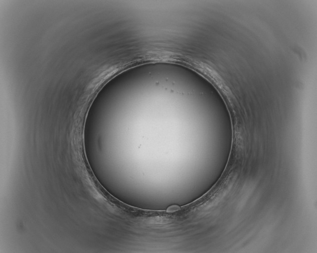 X0000114160433200910151610