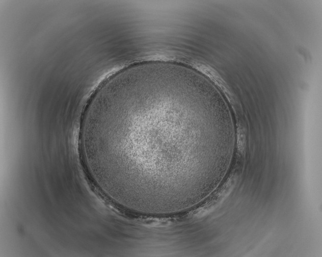 X0000114160434200910151610