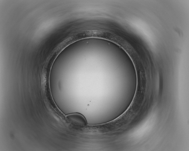 X0000114160435200910151610