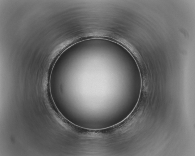 X0000114160437200910151610