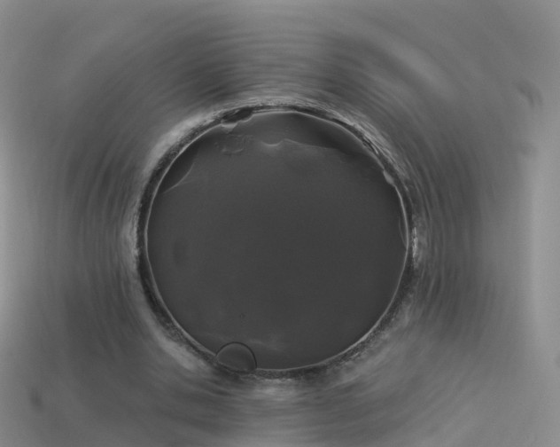 X0000114160438200910151610