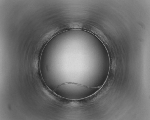 X0000114160441200910151610