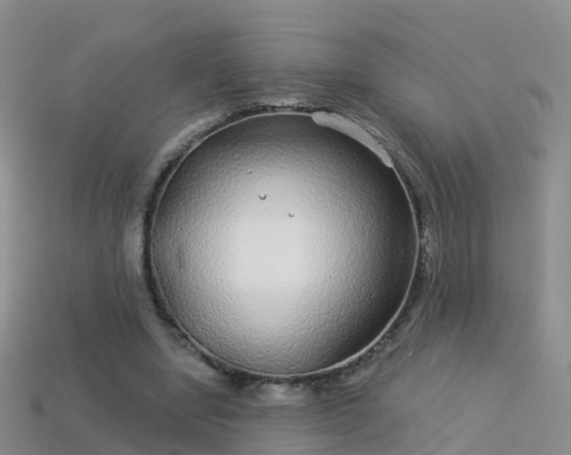 X0000114160442200910151610