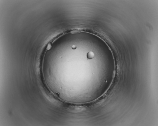 X0000114160443200910151610