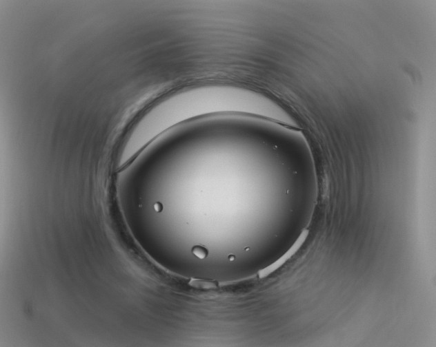 X0000114160444200910151610