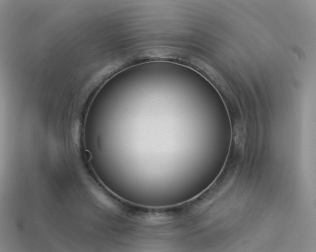 X0000114160445200910151610