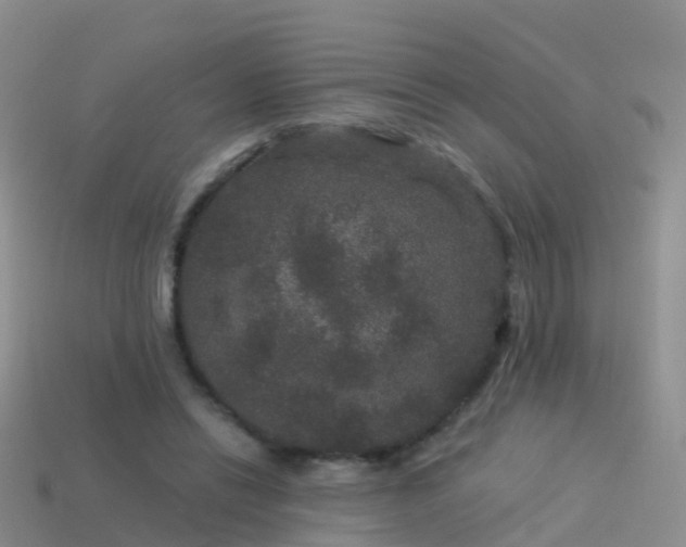 X0000114160446200910151610