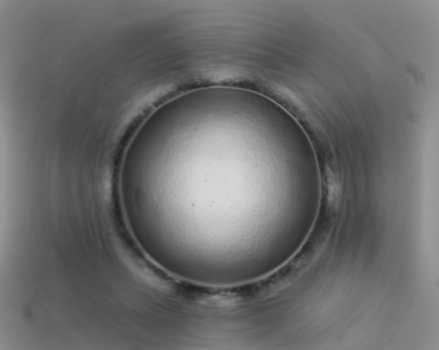 X0000114160447200910151610