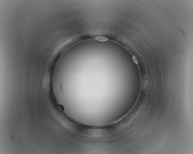 X0000114160448200910151610