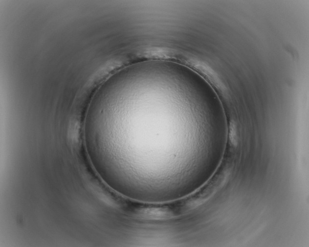 X0000114160449200910151610