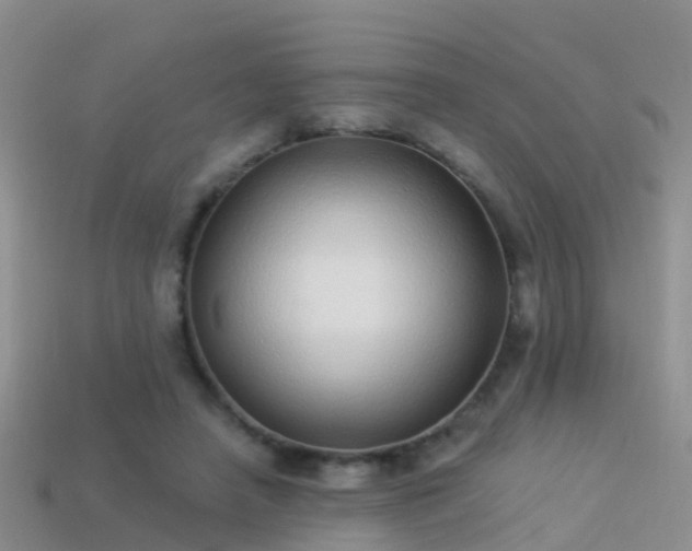 X0000114160450200910151610