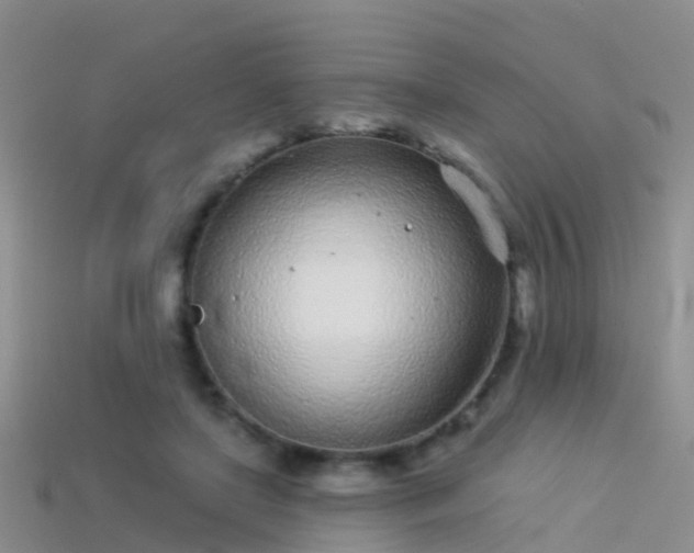 X0000114160451200910151610