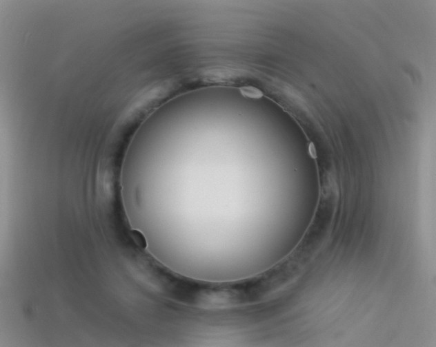 X0000114160452200910151610