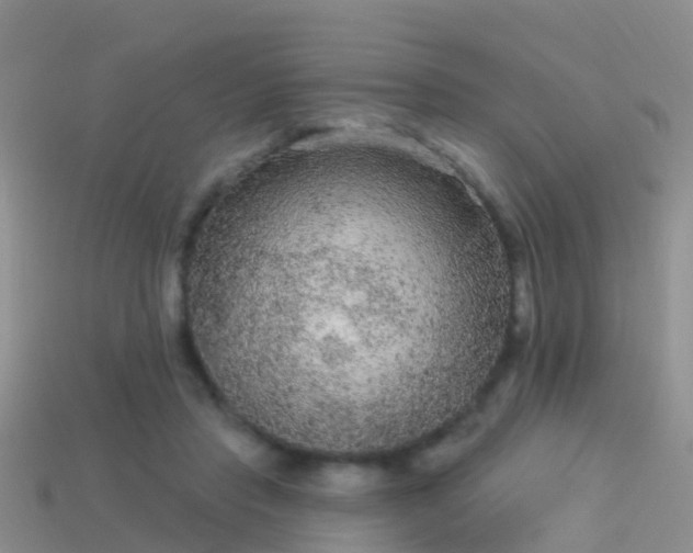 X0000114160453200910151610