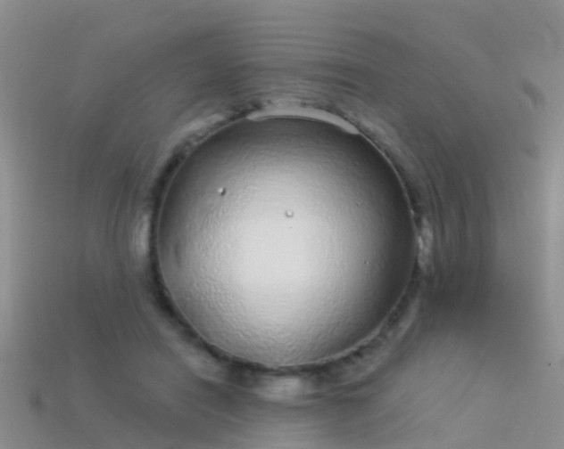 X0000114160454200910151610