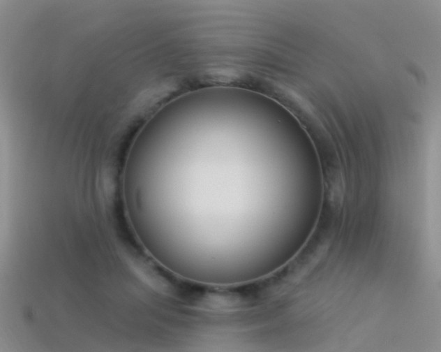 X0000114160455200910151610