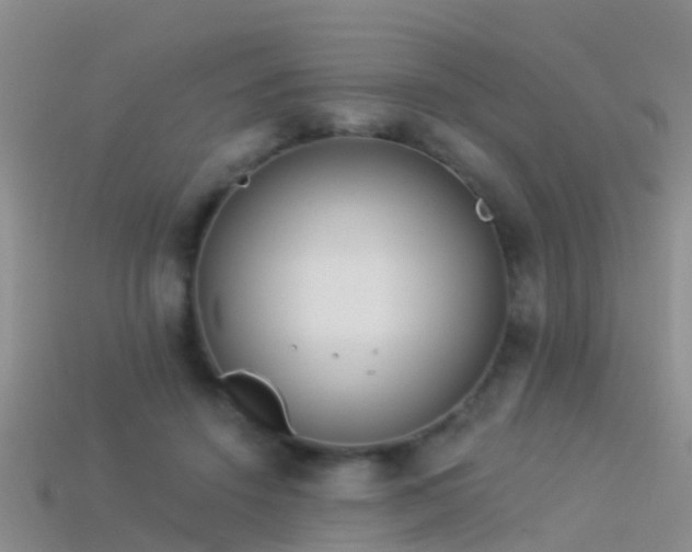 X0000114160456200910151610