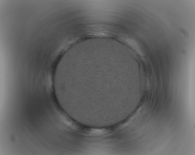 X0000114160457200910151610