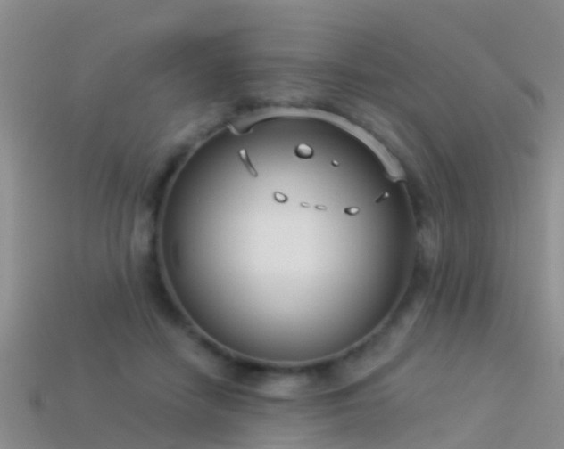 X0000114160458200910151610