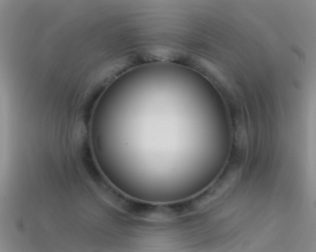 X0000114160459200910151610