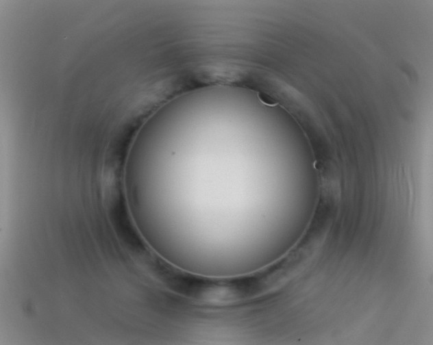 X0000114160460200910151610