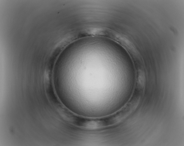 X0000114160461200910151610