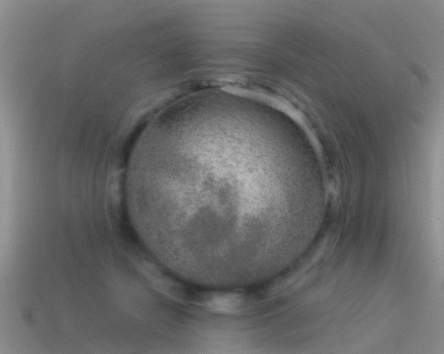 X0000114160462200910151610