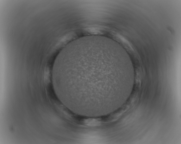 X0000114160465200910151610