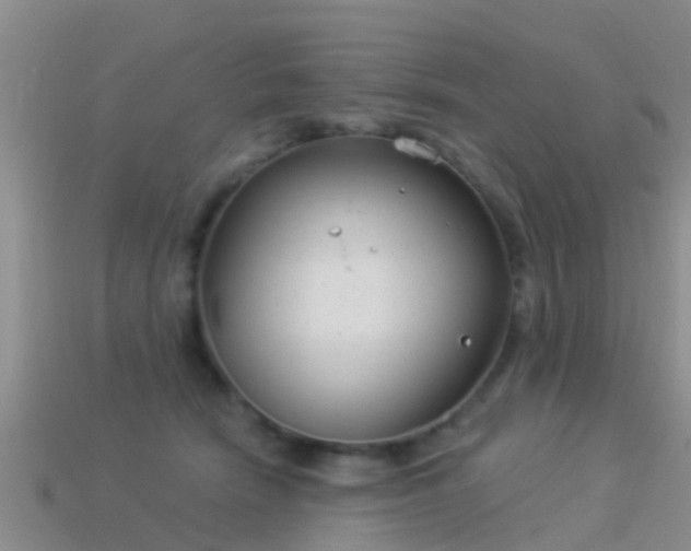 X0000114160466200910151610