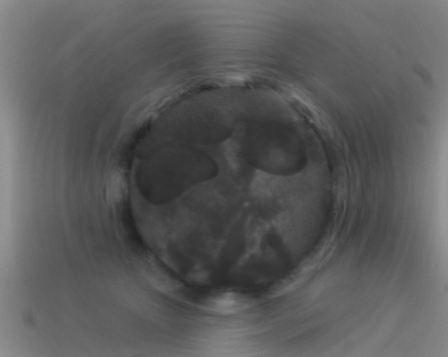 X0000114160467200910151610