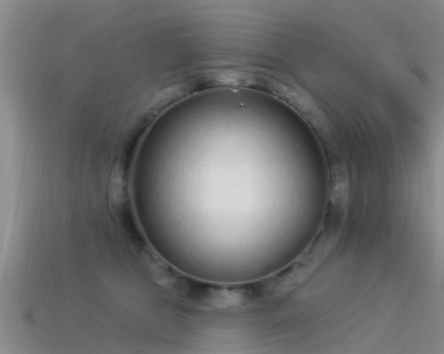 X0000114160469200910151610