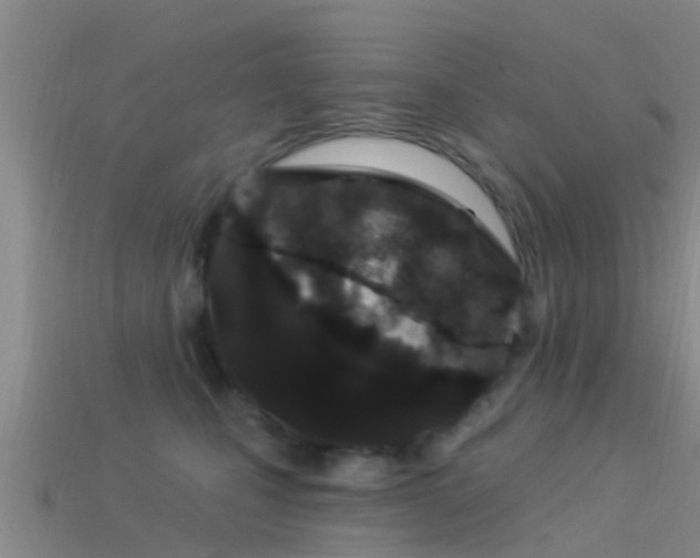 X0000114160471200910151610