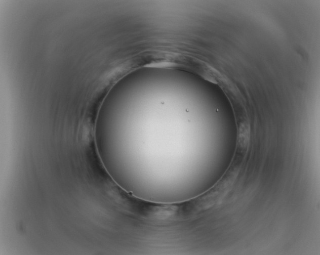 X0000114160474200910151610