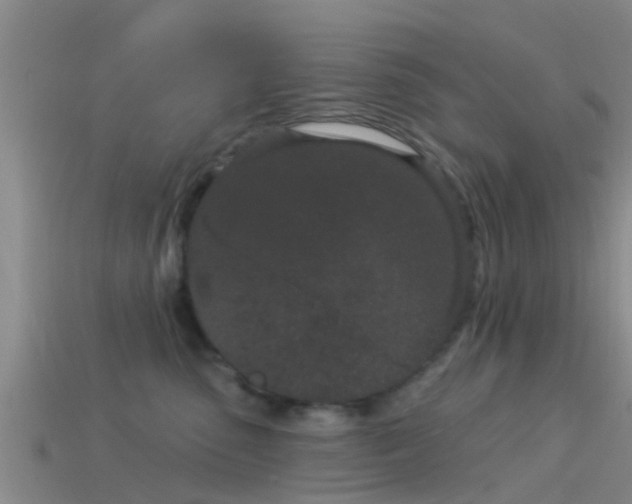 X0000114160475200910151610