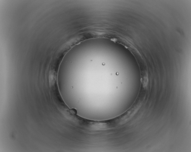 X0000114160476200910151611