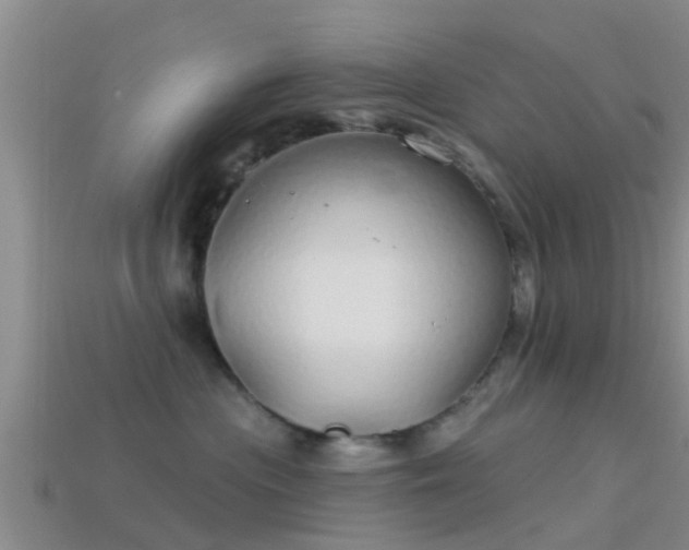 X0000114160477200910151611