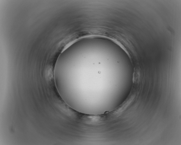 X0000114160478200910151611