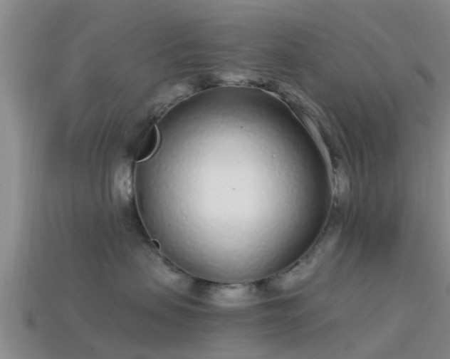 X0000114160479200910151611