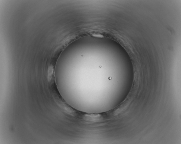 X0000114160480200910151611