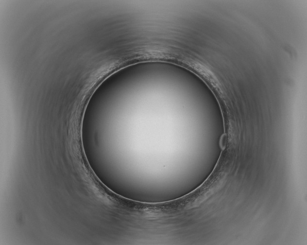 X0000114160481200910151610