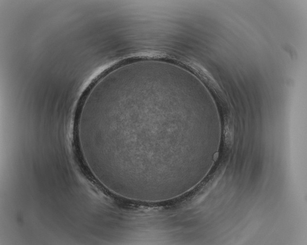 X0000114160484200910151610