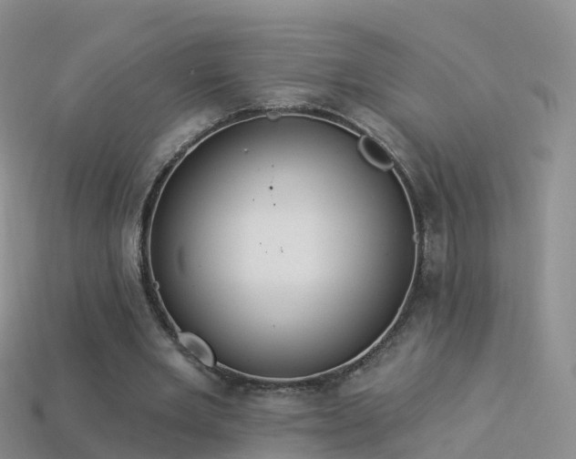 X0000114160485200910151610