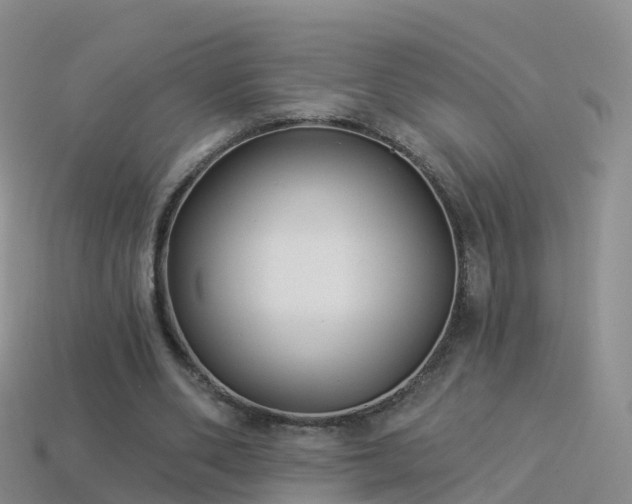 X0000114160486200910151610