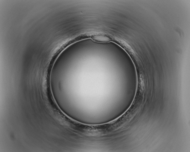 X0000114160487200910151610